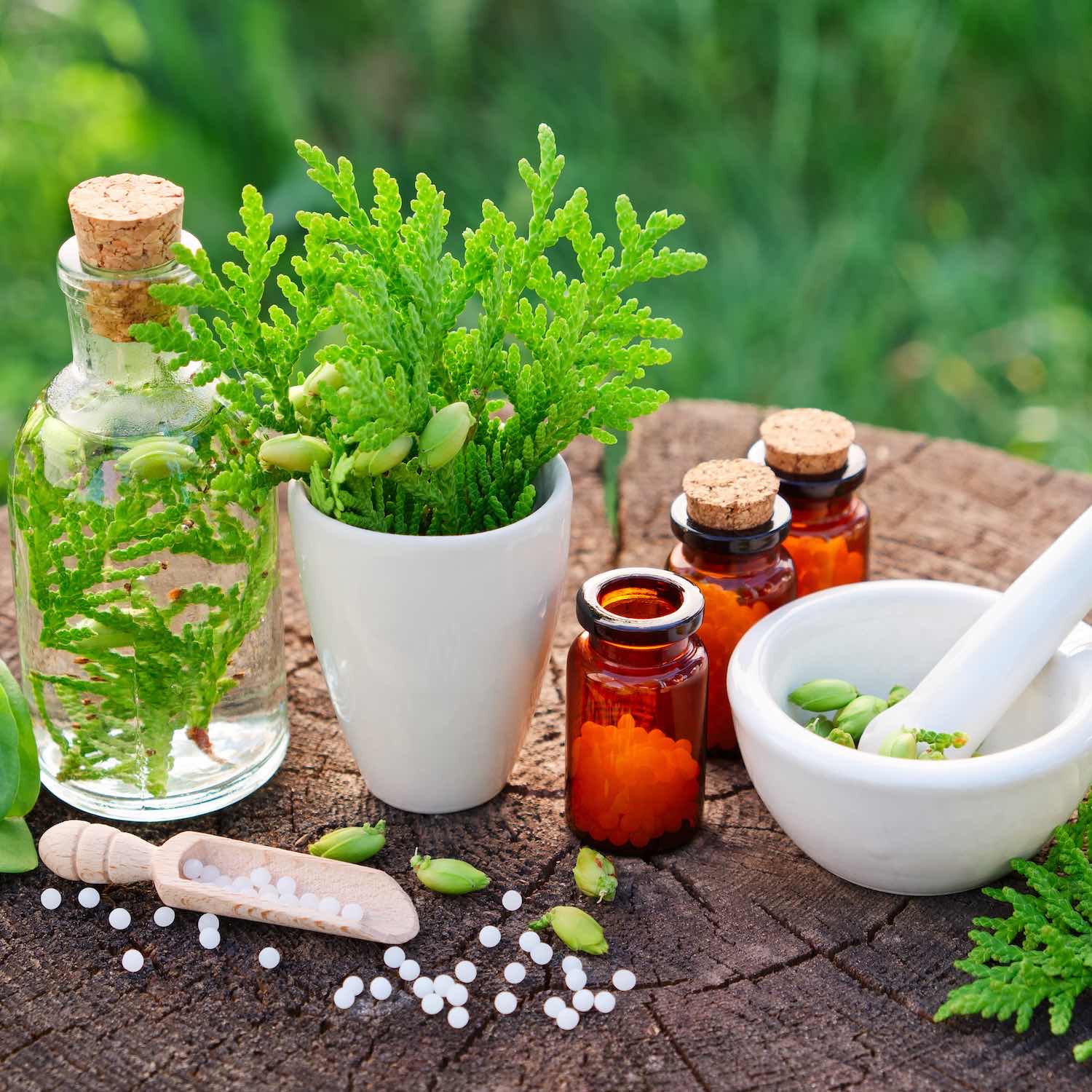 homeopathie-pharmaice-du-moulinet-chantonnay